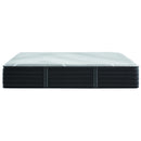 Beautyrest X-Class Medium Mattress (Twin XL) IMAGE 2