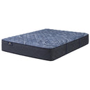Serta Cobalt Calm Extra Firm Mattress (Twin) IMAGE 1