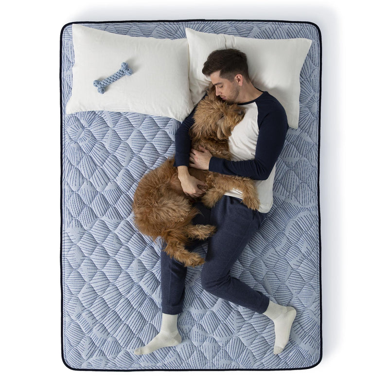 Serta Blue Lagoon Nights Firm Mattress (California King) IMAGE 4