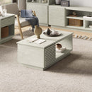 Legends Furniture Stardust SR4210.SST Coffee Table IMAGE 2