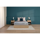  Beautyrest Dream Weaver Hybrid Plush Mattress (Twin XL) IMAGE 6